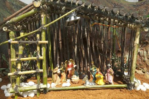 Christmas Crib (1)